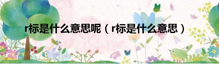 r标是什么意思呢 r标是什么意思
