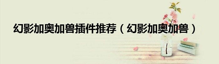 幻影加奥加兽插件推荐 幻影加奥加兽