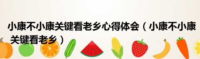 小康不小康关键看老乡心得体会 小康不小康 关键看老乡
