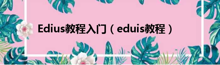 Edius教程入门 eduis教程