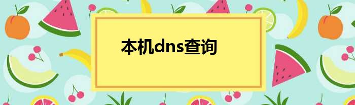 本机dns查询