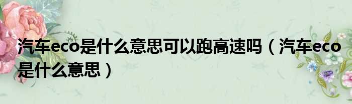 汽车eco是什么意思可以跑高速吗 汽车eco是什么意思