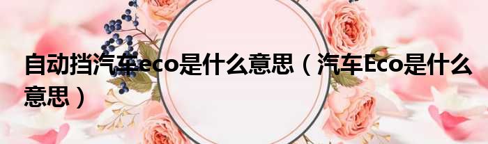 自动挡汽车eco是什么意思 汽车Eco是什么意思