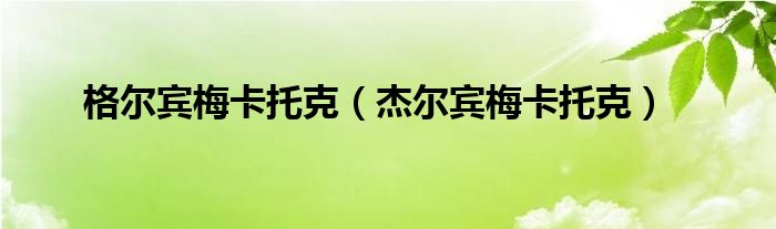 格尔宾梅卡托克 杰尔宾梅卡托克