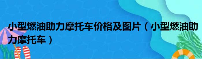 小型燃油助力摩托车价格及图片 小型燃油助力摩托车