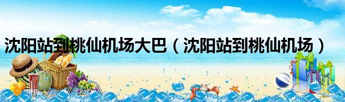 沈阳站到桃仙机场大巴 沈阳站到桃仙机场