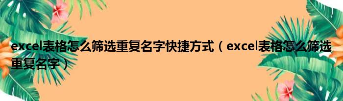 excel表格怎么筛选重复名字快捷方式 excel表格怎么筛选重复名字