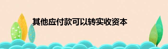 其他应付款可以转实收资本