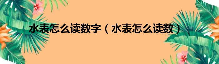 水表怎么读数字 水表怎么读数