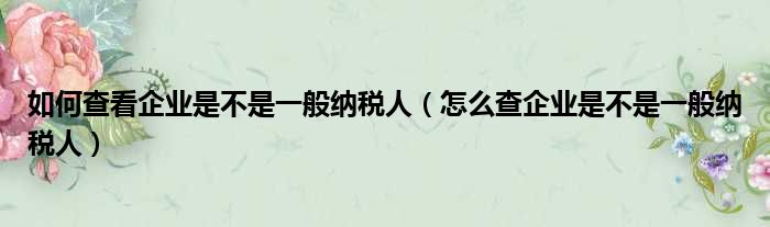 如何查看企业是不是一般纳税人 怎么查企业是不是一般纳税人