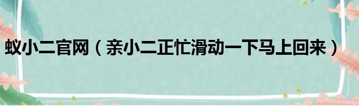 蚁小二官网 亲小二正忙滑动一下马上回来