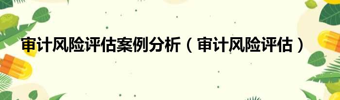 审计风险评估案例分析 审计风险评估