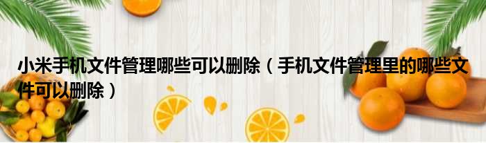 小米手机文件管理哪些可以删除 手机文件管理里的哪些文件可以删除