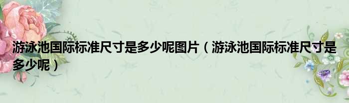 游泳池国际标准尺寸是多少呢图片 游泳池国际标准尺寸是多少呢