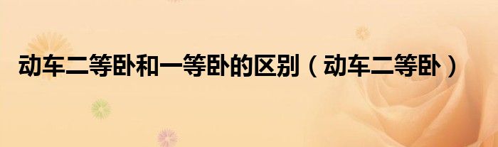 动车二等卧和一等卧的区别 动车二等卧