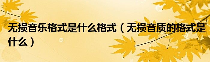 无损音乐格式是什么格式 无损音质的格式是什么