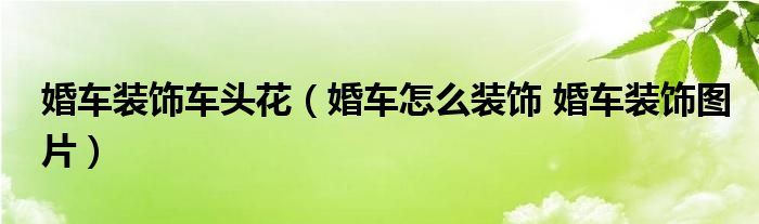 婚车装饰车头花 婚车怎么装饰 婚车装饰图片