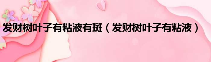 发财树叶子有粘液有斑 发财树叶子有粘液
