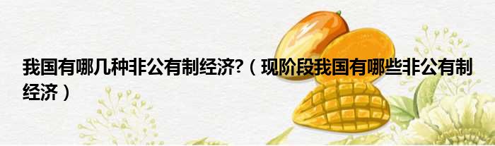 我国有哪几种非公有制经济  现阶段我国有哪些非公有制经济