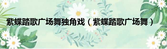 紫蝶踏歌广场舞独角戏 紫蝶踏歌广场舞