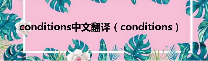 conditions中文翻译 conditions