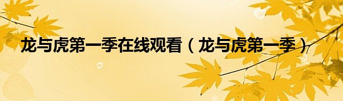 龙与虎第一季在线观看 龙与虎第一季