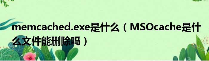 memcached.exe是什么 MSOcache是什么文件能删除吗