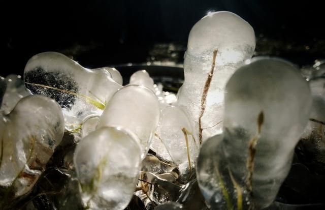 买生蚝的时候应该怎么选择好图4