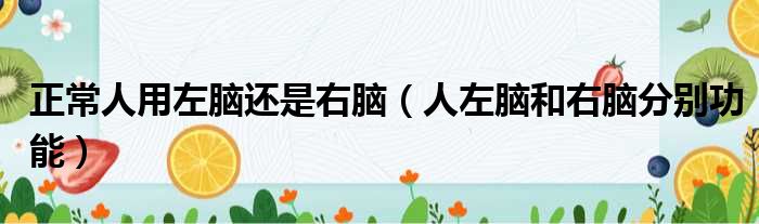 正常人用左脑还是右脑 人左脑和右脑分别功能