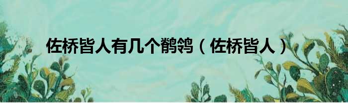 佐桥皆人有几个鹡鸰 佐桥皆人