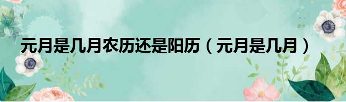 元月是几月农历还是阳历 元月是几月