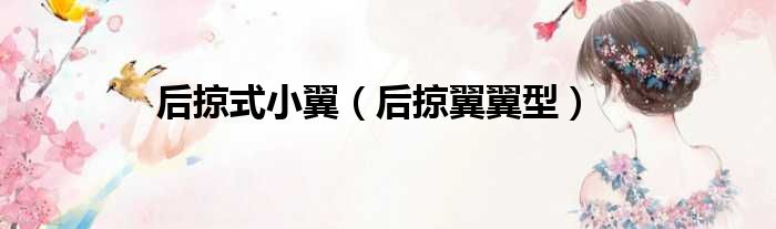 后掠式小翼 后掠翼翼型