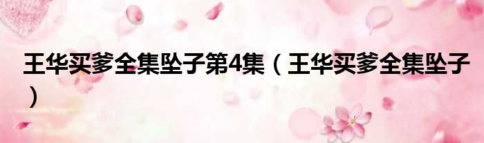 王华买爹全集坠子第4集 王华买爹全集坠子