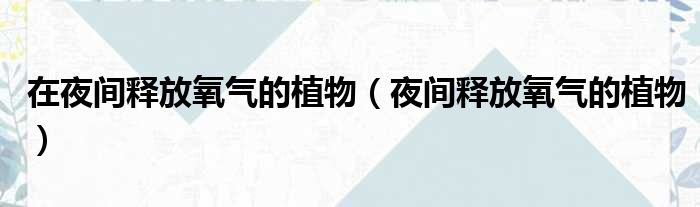 在夜间释放氧气的植物 夜间释放氧气的植物