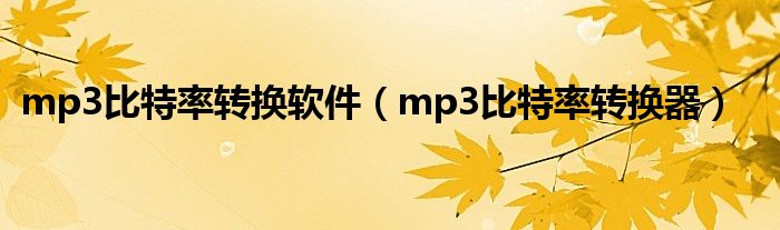 mp3比特率转换软件 mp3比特率转换器