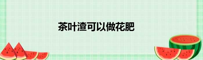 茶叶渣可以做花肥