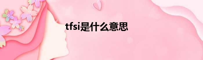 tfsi是什么意思