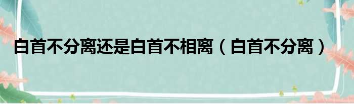 白首不分离还是白首不相离 白首不分离