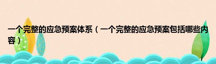 一个完整的应急预案体系 一个完整的应急预案包括哪些内容