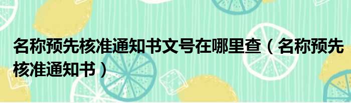 名称预先核准通知书文号在哪里查 名称预先核准通知书