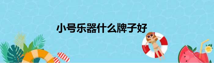 小号乐器什么牌子好