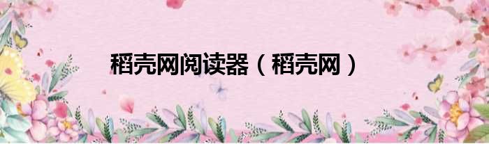 稻壳网阅读器 稻壳网