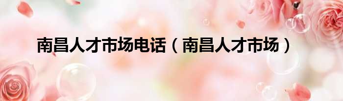 南昌人才市场电话 南昌人才市场