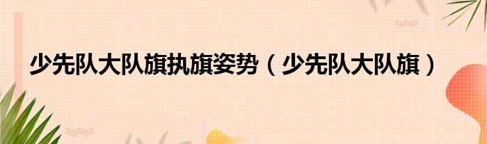 少先队大队旗执旗姿势 少先队大队旗