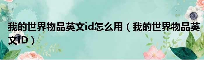 我的世界物品英文id怎么用 我的世界物品英文ID