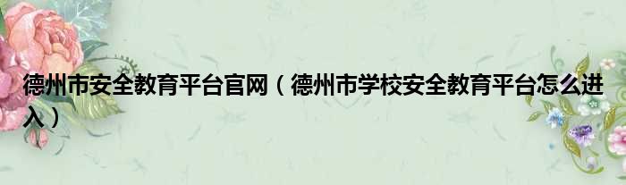 德州市安全教育平台官网 德州市学校安全教育平台怎么进入