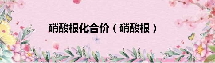 硝酸根化合价 硝酸根