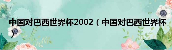 中国对巴西世界杯2002 中国对巴西世界杯