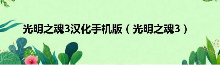 光明之魂3汉化手机版 光明之魂3