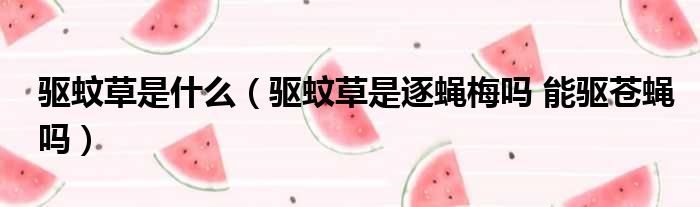 驱蚊草是什么 驱蚊草是逐蝇梅吗 能驱苍蝇吗